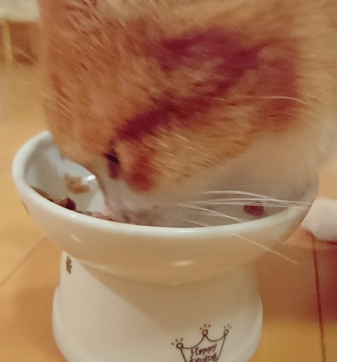 21-09-24-04-15-34-751_deco