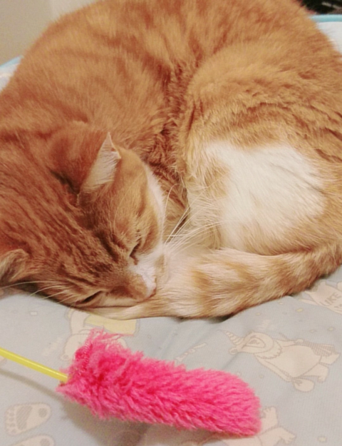 sketch-1592711966311~2