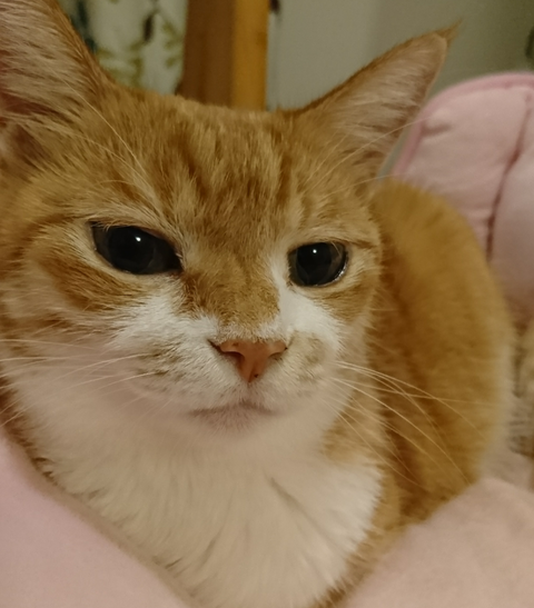 sketch-1600831652284