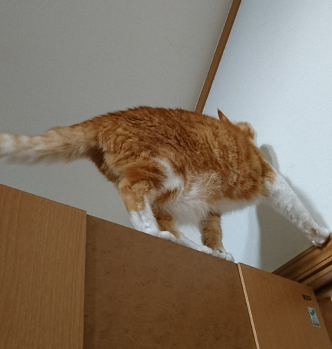 sketch-1601182285386