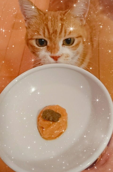 20-12-26-10-56-22-740_deco