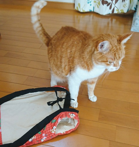 21-01-01-12-19-47-956_deco