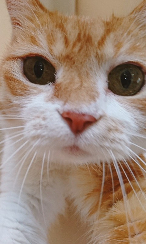 20-10-02-13-15-11-663_deco