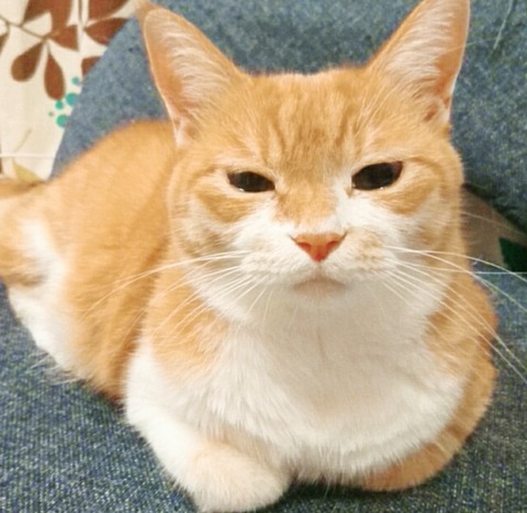 20-07-12-13-15-40-623_deco