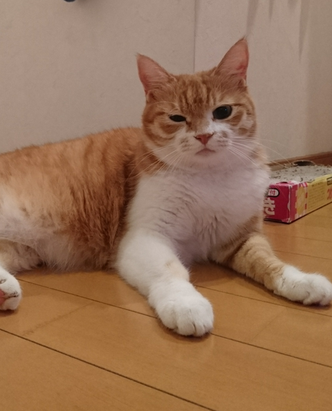 sketch-1591758966800