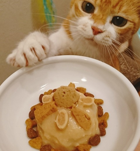 20-09-23-12-31-48-062_deco