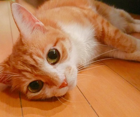 20-09-21-14-28-35-576_deco