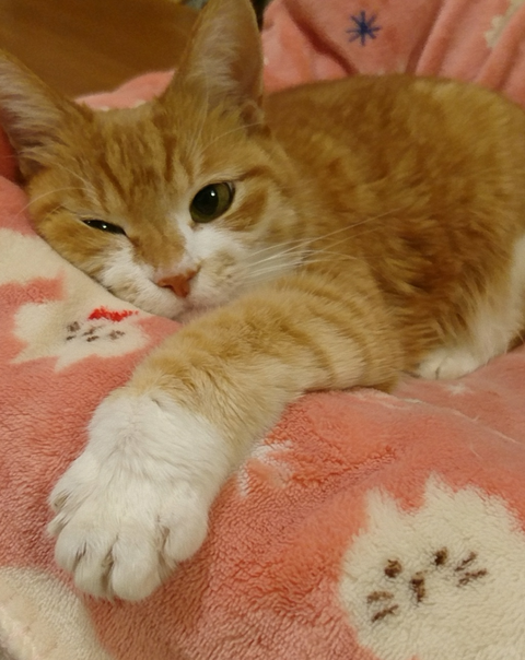 sketch-1591849834996