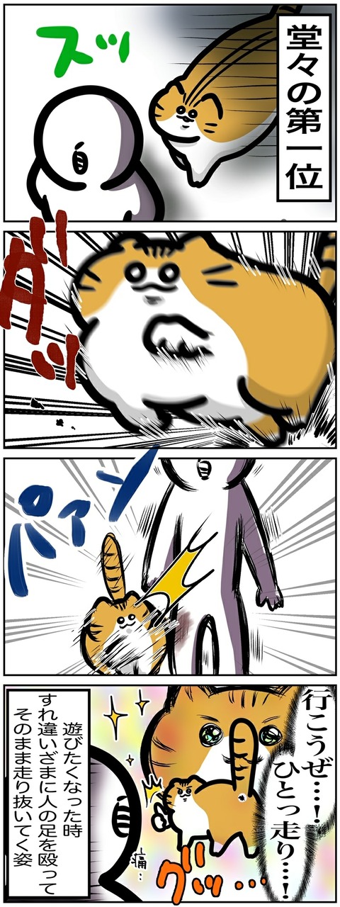 イラスト500