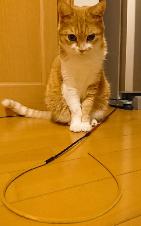 20-09-30-13-39-20-776_deco