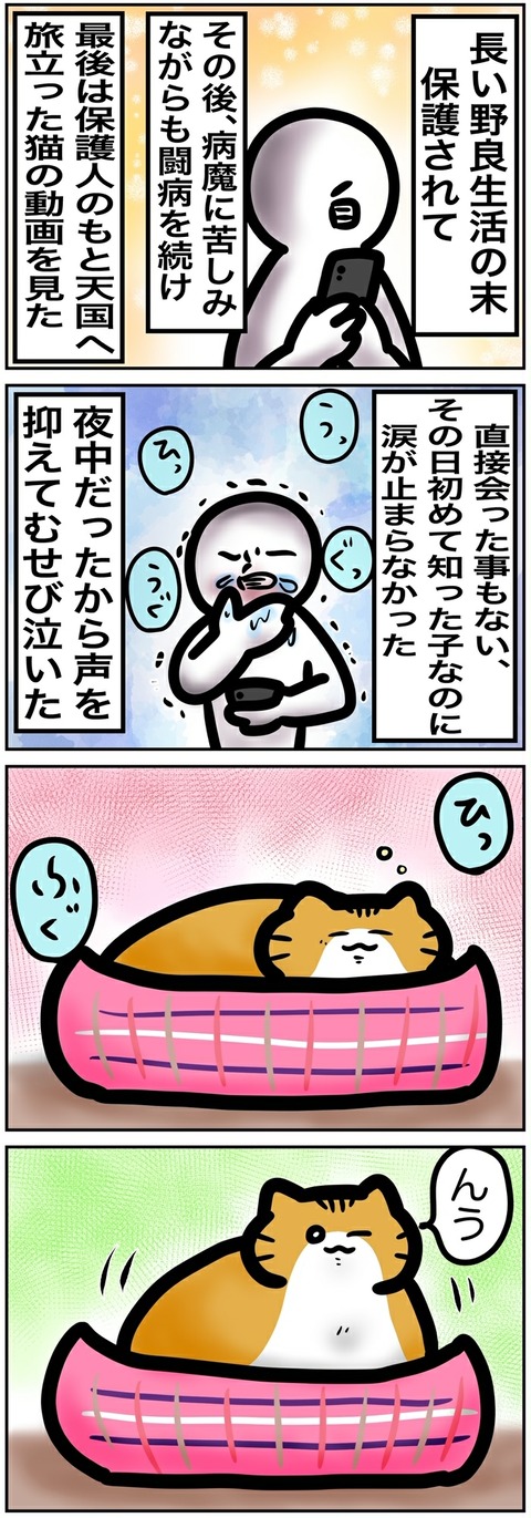 イラスト487