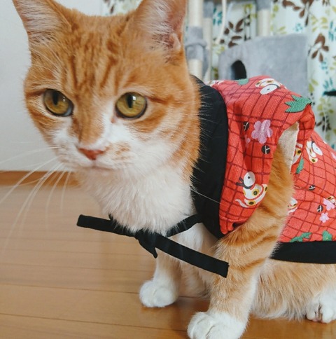 21-01-01-12-19-23-139_deco