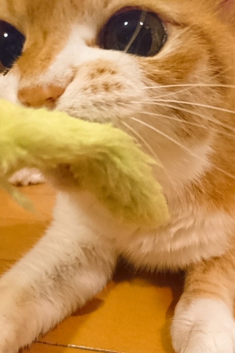 20-07-15-14-20-26-545_deco