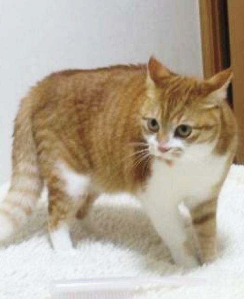 20-08-29-12-02-38-416_deco