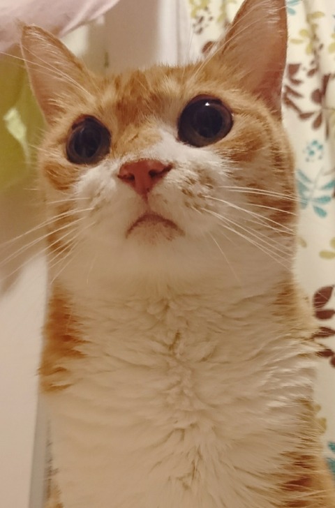 20-10-15-14-10-59-767_deco