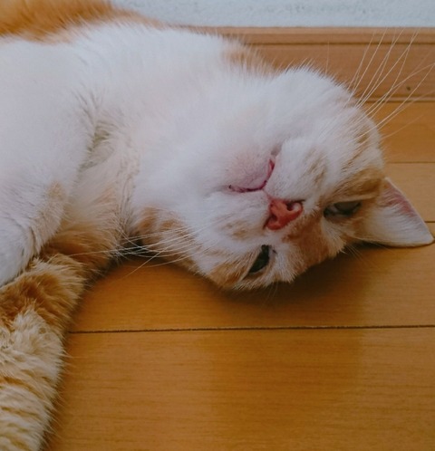 20-10-24-14-00-06-735_deco