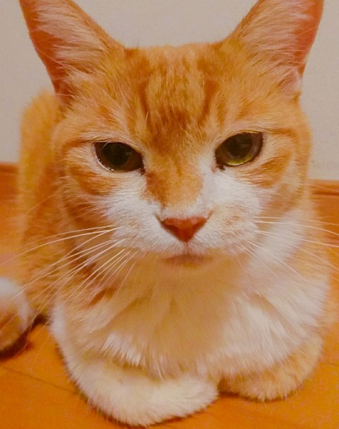 20-08-31-13-40-41-706_deco