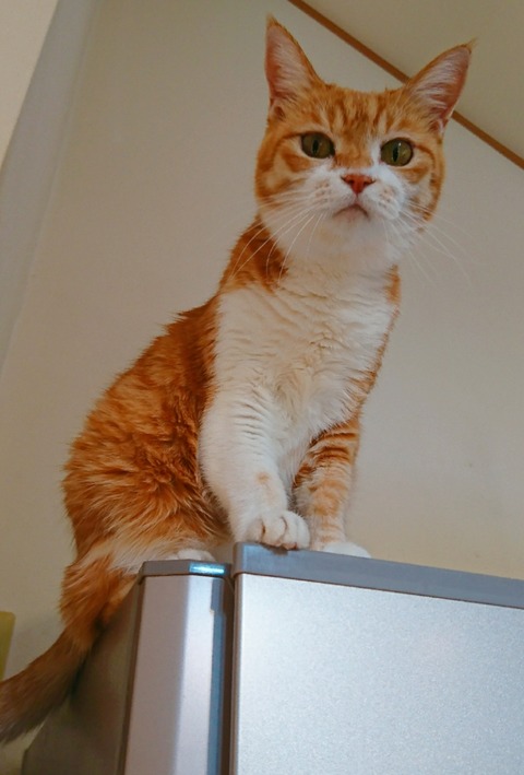 20-10-02-13-14-19-215_deco