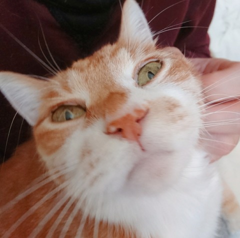 20-09-16-13-02-02-391_deco