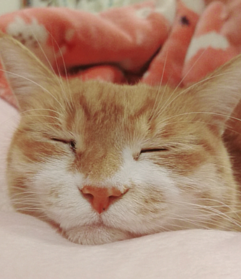 sketch-1598669905552