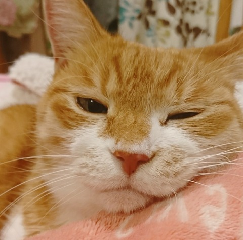 20-12-30-03-48-07-225_deco