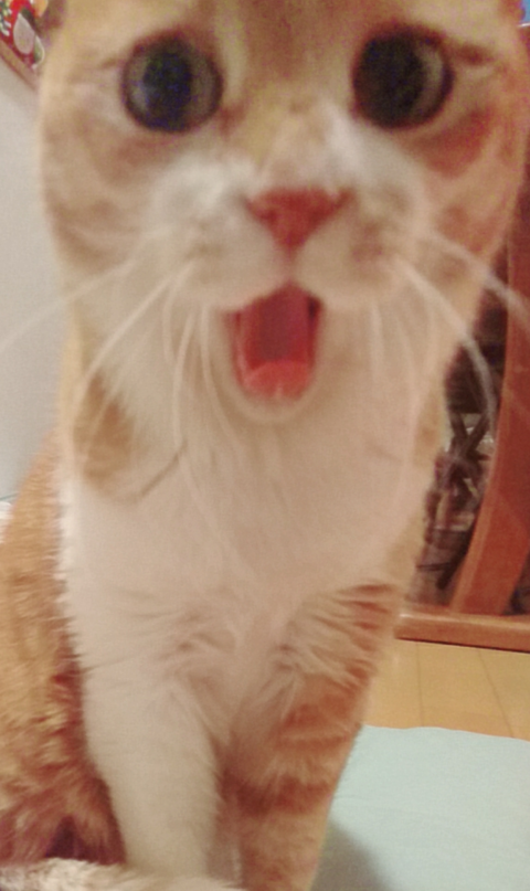 sketch-1592017893347