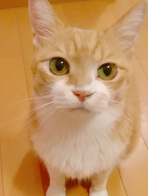 20-09-23-12-32-14-050_deco