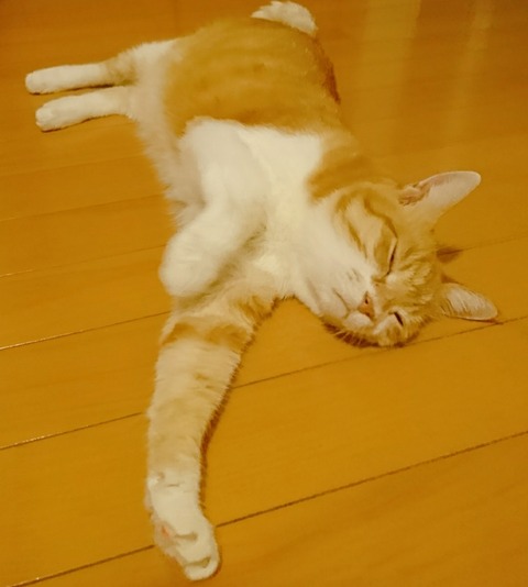 20-09-03-11-47-28-210_deco