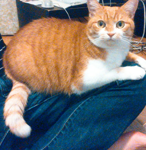 sketch-1602481038911