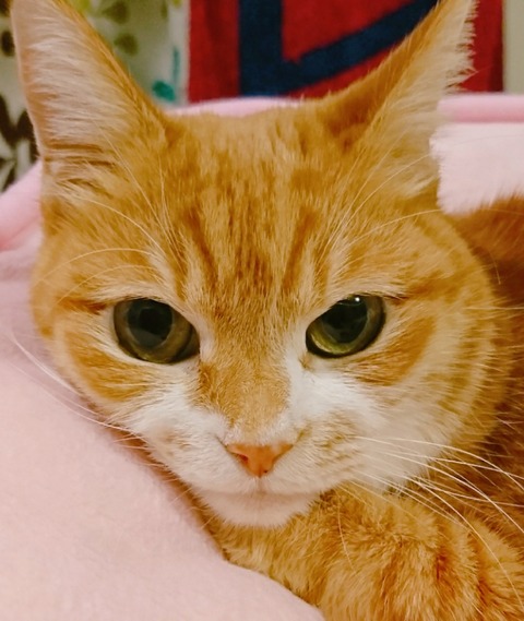 20-09-26-13-24-04-171_deco