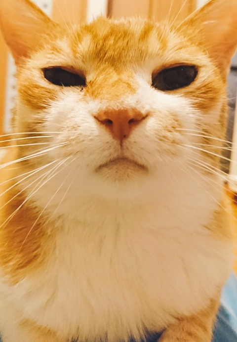 20-07-16-12-46-09-346_deco