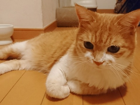 20-12-16-04-16-11-926_deco