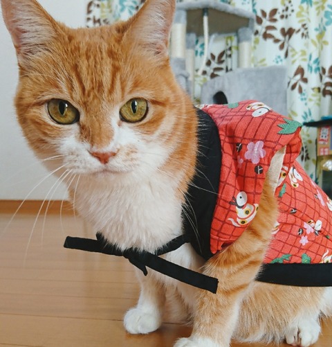 21-01-01-12-19-13-873_deco