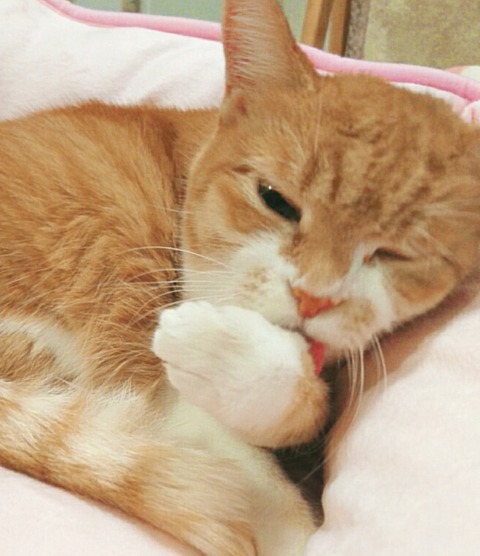 20-06-25-18-02-51-071_deco