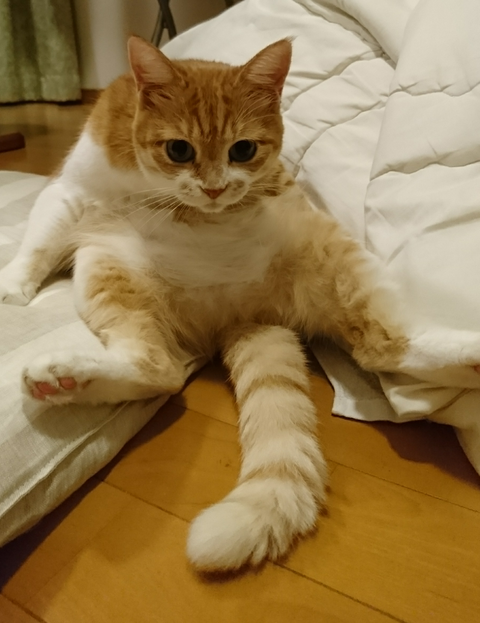 sketch-1591932612972