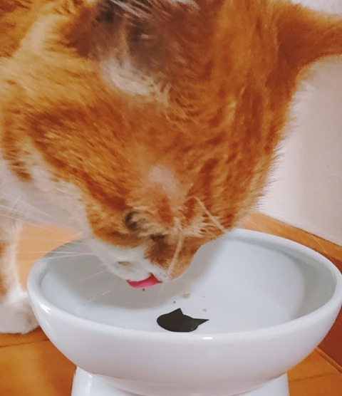 20-09-25-14-07-27-643_deco