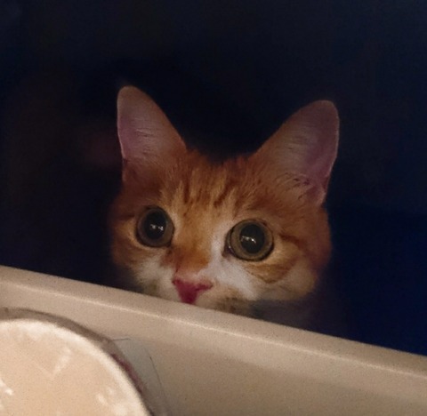 20-10-14-14-12-57-263_deco