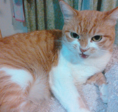 20-10-20-13-55-00-711_deco