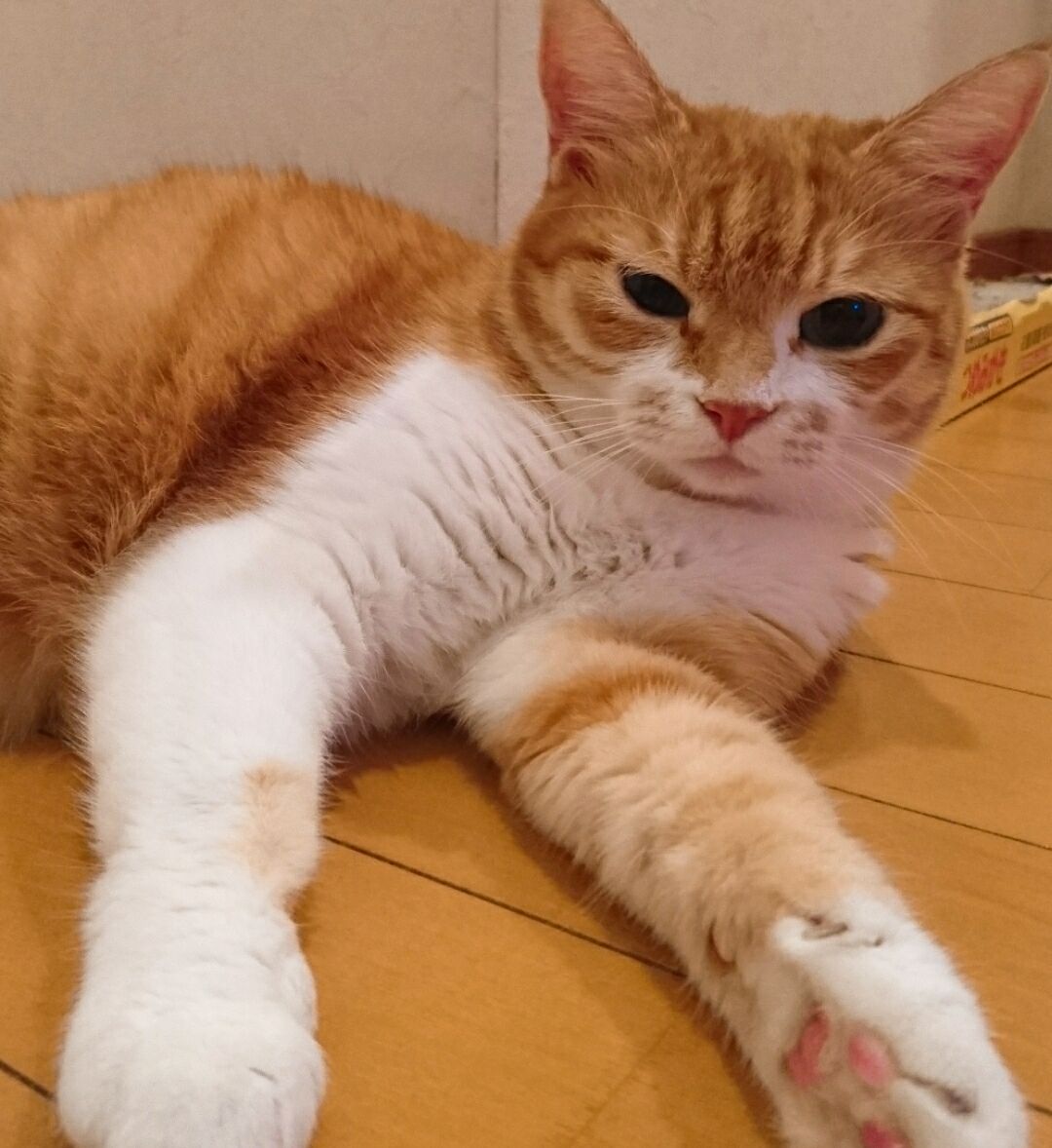 めんどくせぇ奴に絡まれた件 : 日々まりも。