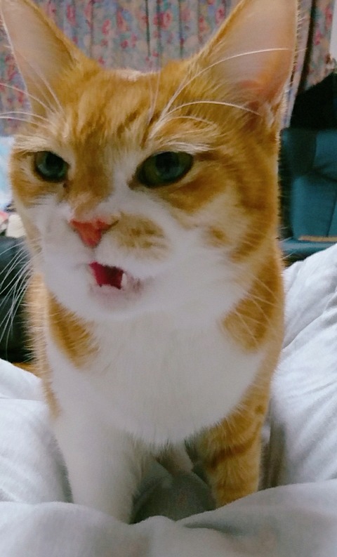 20-09-24-14-07-13-645_deco