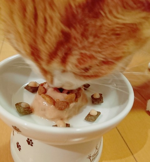 21-09-24-04-15-16-663_deco