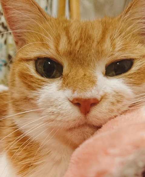 21-01-04-10-32-21-203_deco