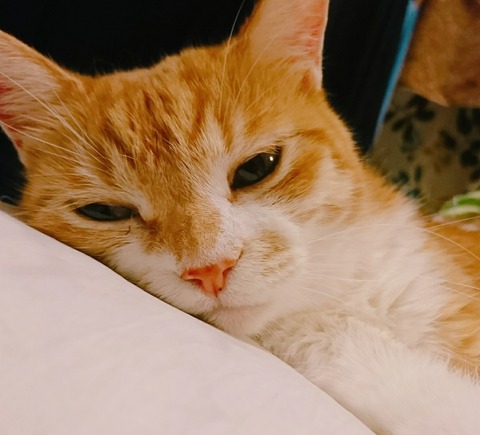 20-09-21-14-29-10-211_deco