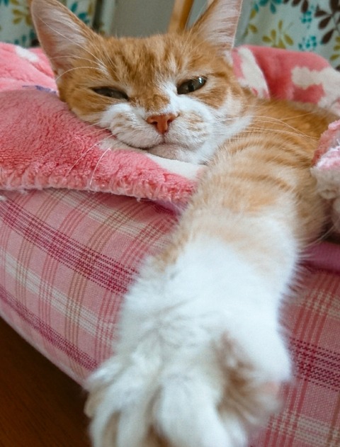 20-10-23-14-06-18-400_deco