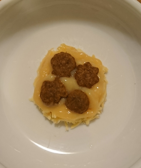 sketch-1600828270429