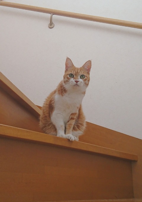 20-09-29-13-07-46-839_deco