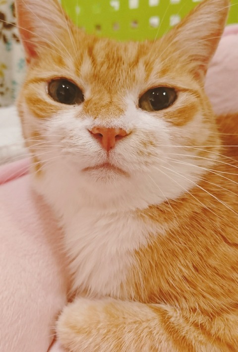 20-09-01-13-30-01-084_deco