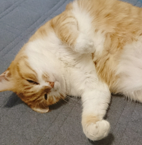 sketch-1609091098702