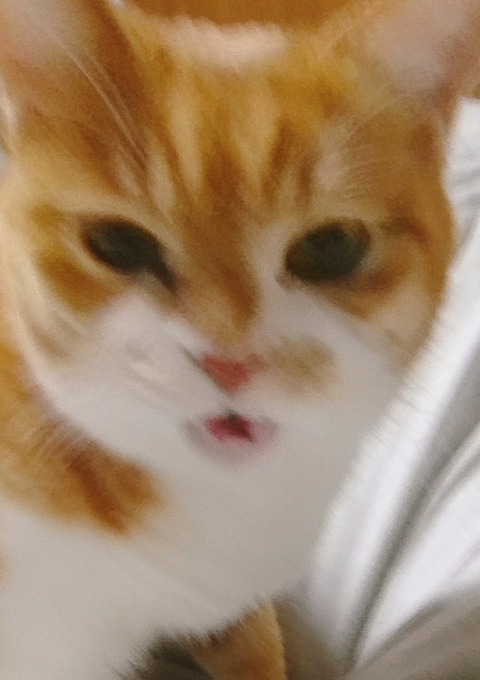 20-09-24-14-06-34-945_deco