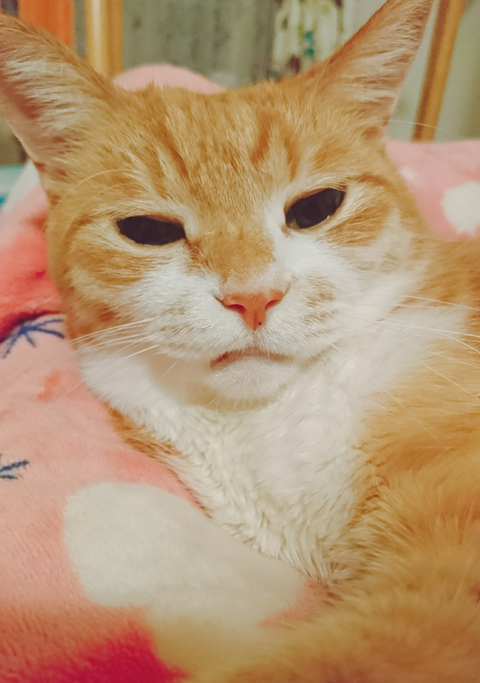 sketch-1592272589947